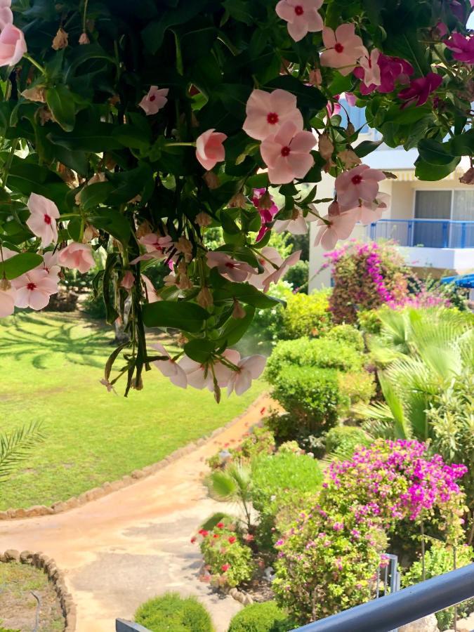Cozy 2 bedroom apartment Pafos Zewnętrze zdjęcie