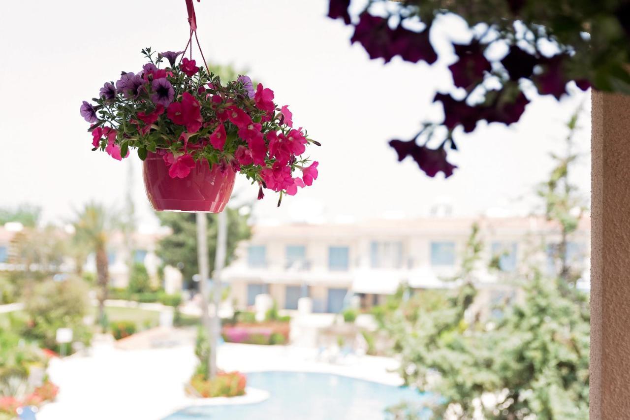 Cozy 2 bedroom apartment Pafos Zewnętrze zdjęcie